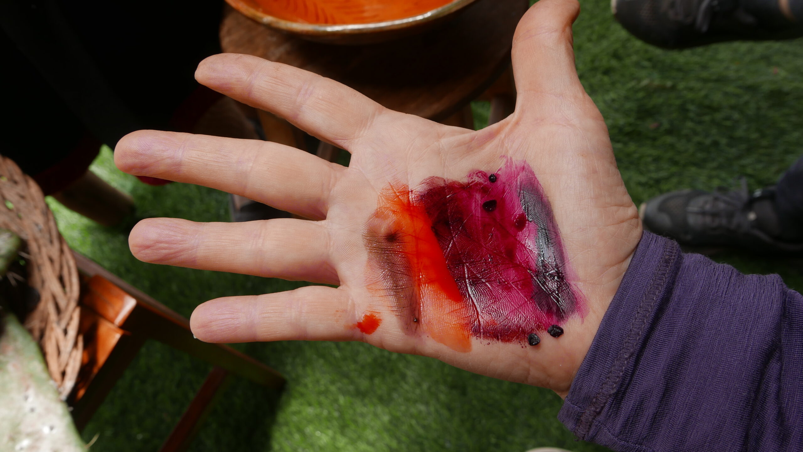 Traditional dyes at Andean Colors cooperative. Traditional dyes at Andean Colors cooperative.